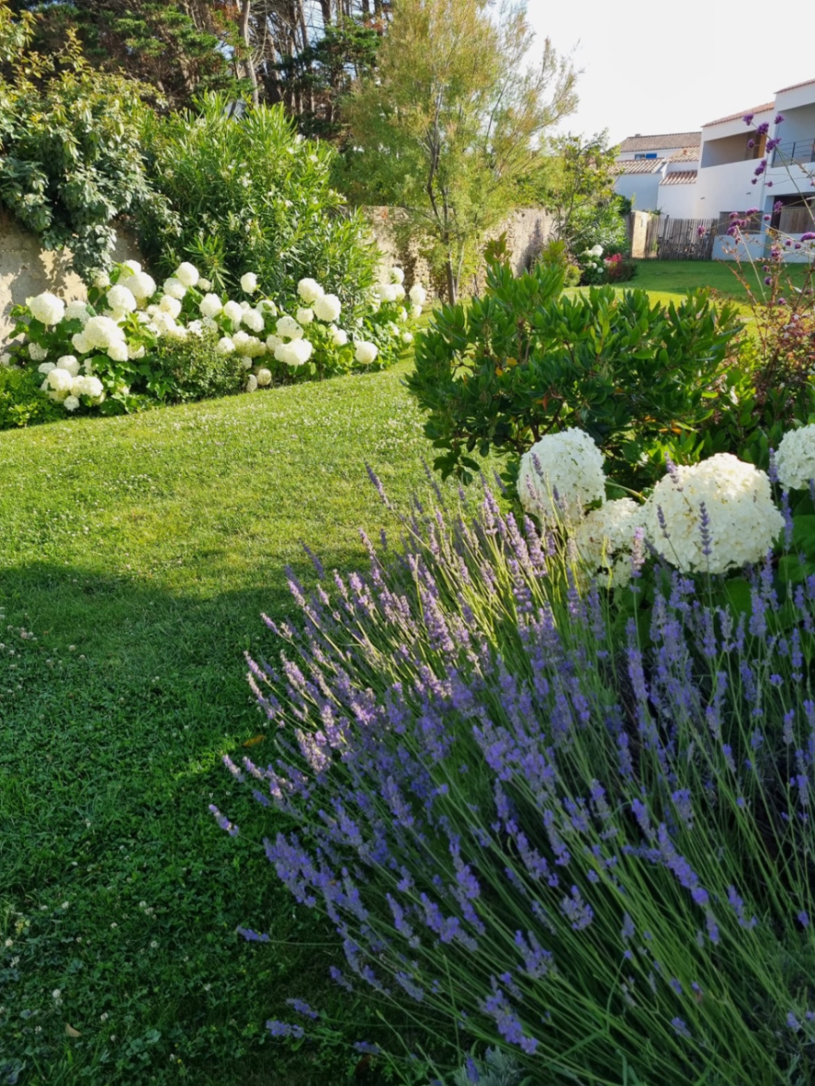 Entretien de jardin