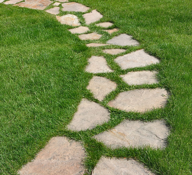 Installation de terrasses et allées